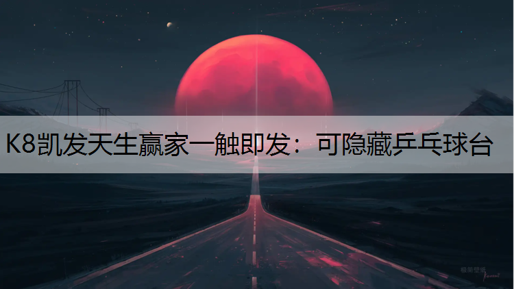 可隐藏乒乓球台